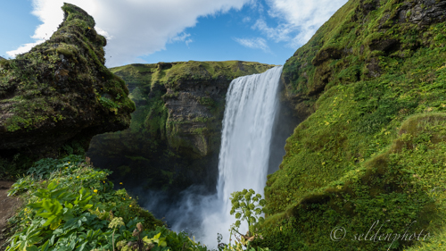 150828.1420.jpg 150828.1420.jpg