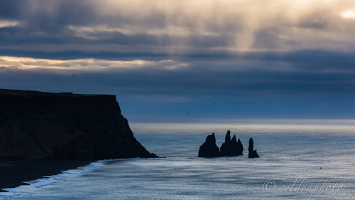 140302.1473.jpg 140302.1473.jpg