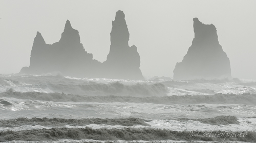 140831.019.jpg 140831.019.jpg