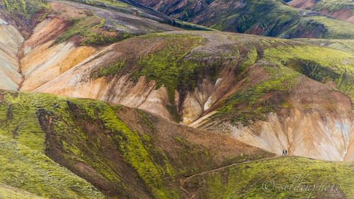 140904.1418.jpg 140904.1418.jpg