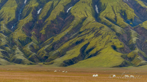 140906.1356.jpg 140906.1356.jpg