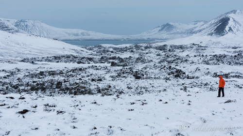 150315.596.jpg 150315.596.jpg