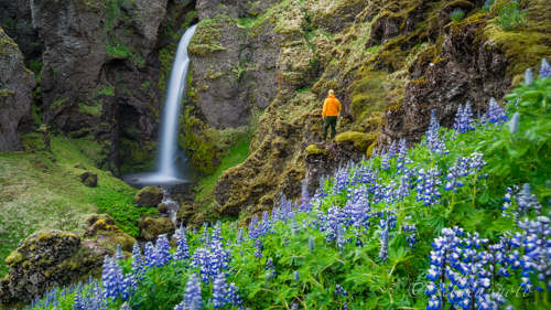 150616.851.jpg 150616.851.jpg