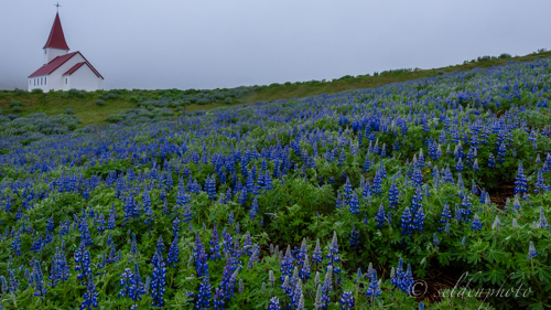 150616.958.jpg 150616.958.jpg