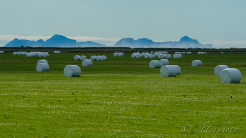 150828.1207.jpg 150828.1207.jpg