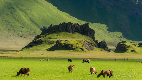 150828.1266.jpg 150828.1266.jpg