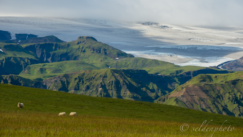 150829.020.jpg 150829.020.jpg