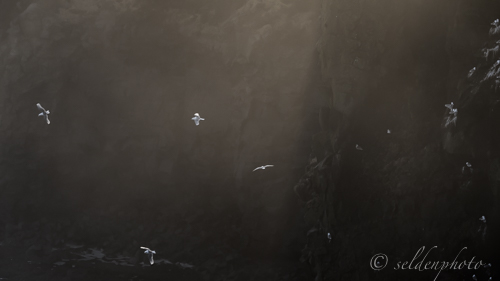 150316.890.jpg 150316.890.jpg