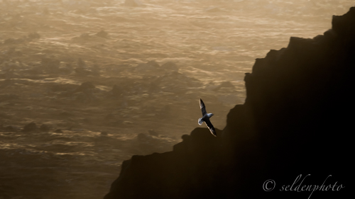 150316.913.jpg 150316.913.jpg