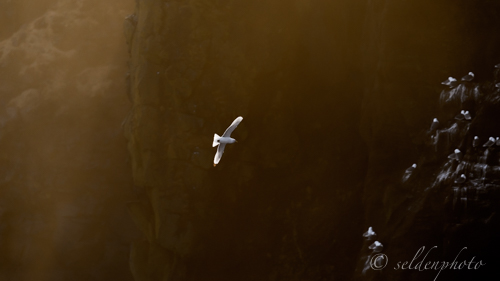 150316.922.jpg 150316.922.jpg