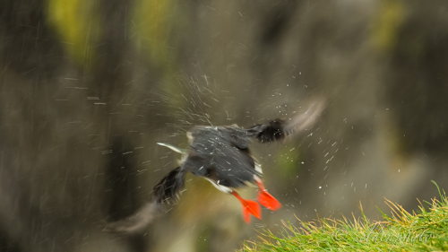 150616.120.jpg 150616.120.jpg