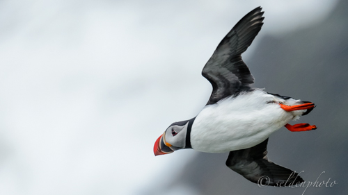 150616.464.jpg 150616.464.jpg