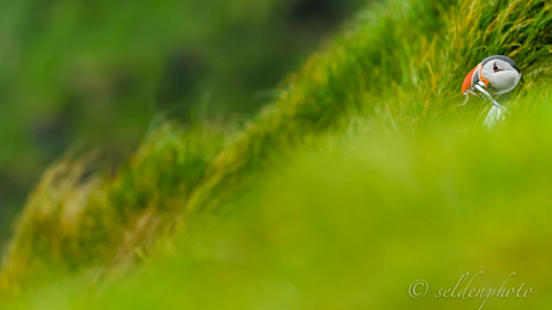 150616.557.jpg 150616.557.jpg