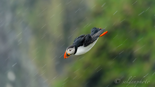 150616.613.jpg 150616.613.jpg