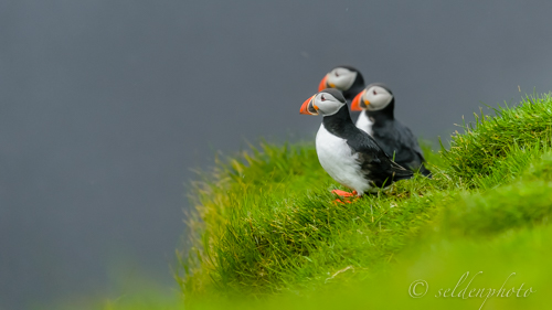 150616.658.jpg 150616.658.jpg