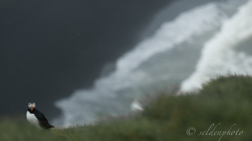 150616.673.jpg 150616.673.jpg