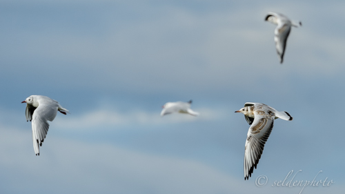 150827.1127.jpg 150827.1127.jpg