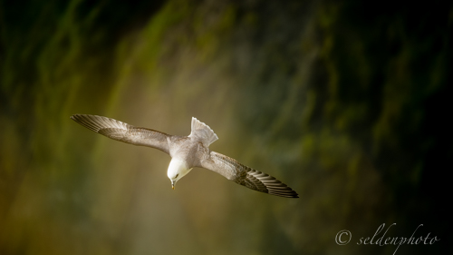 150828.1344.jpg 150828.1344.jpg