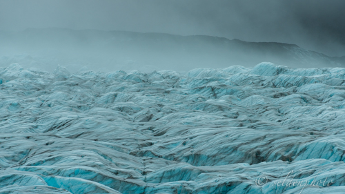 140901.173.jpg 140901.173.jpg