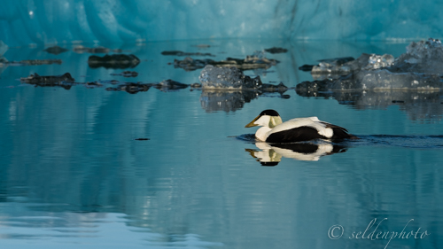 150615.669.jpg 150615.669.jpg