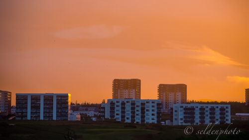 150828.1179.jpg 150828.1179.jpg