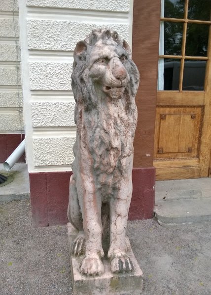 image.jpeg image.jpeg