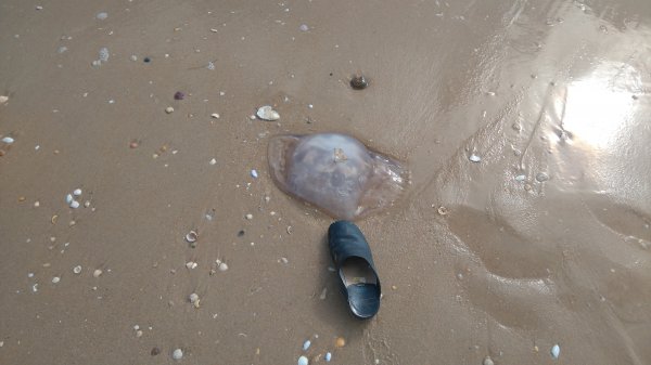 DSC_0329.JPG DSC_0329.JPG