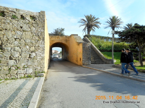 DSCN7153.JPG DSCN7153.JPG