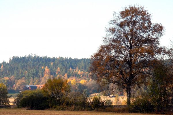 DSCN5351.jpg DSCN5351.jpg