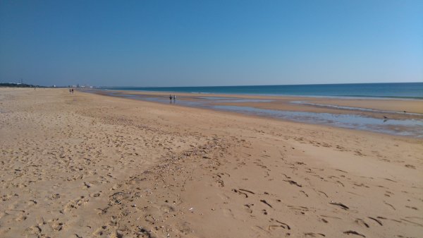 DSC_0384.JPG DSC_0384.JPG