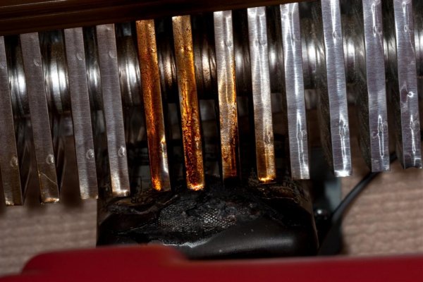 IMG_6087 (Large).jpg