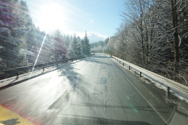 blåbär_15.jpg blåbär_15.jpg