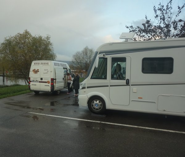 blåbär_18.jpg blåbär_18.jpg