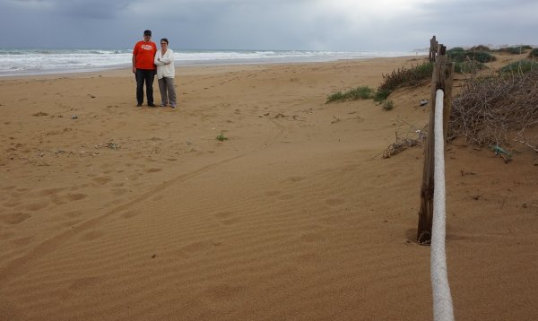 blåbär_32.jpg blåbär_32.jpg