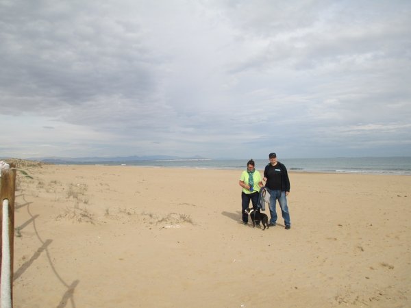 blåbär_33.jpg blåbär_33.jpg