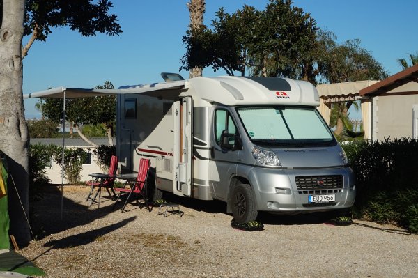 blåbär_35.jpg blåbär_35.jpg