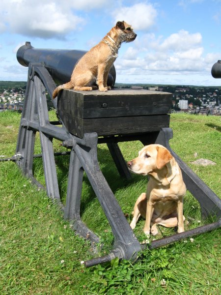 semester två 2009 050.jpg