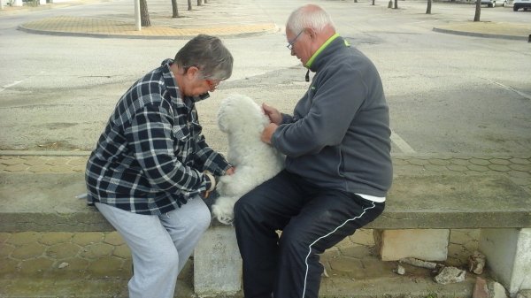 Rappe kammas 151202.jpg