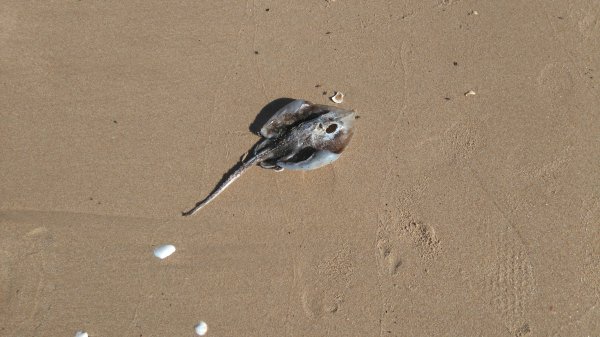 DSC_0446.JPG