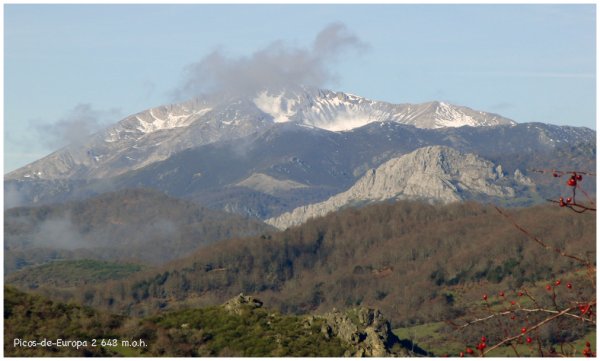 Picos-de-europa.jpg Picos-de-europa.jpg