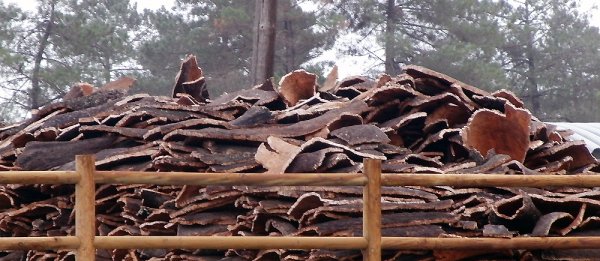 kork-på-tork.jpg kork-på-tork.jpg