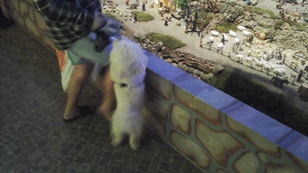 20151219_122728.jpg