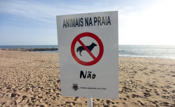 Quarteira.JPG Quarteira.JPG