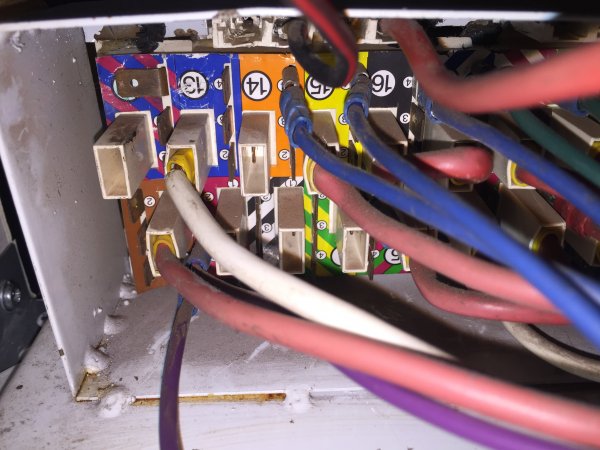 IMG_2875.JPG IMG_2875.JPG