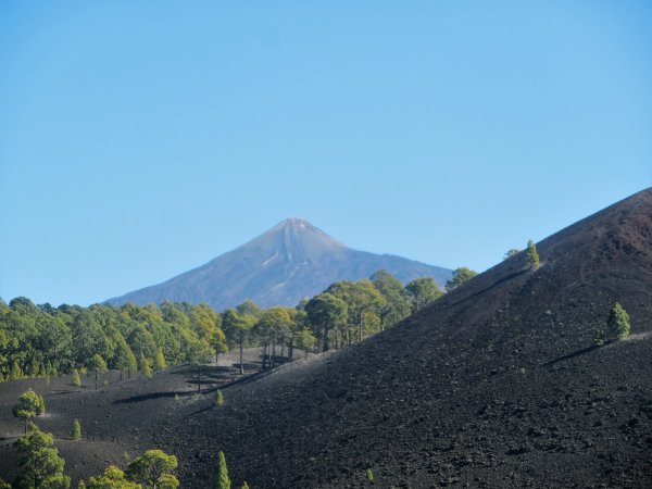 2016-01-12 15.28.06.jpg 2016-01-12 15.28.06.jpg