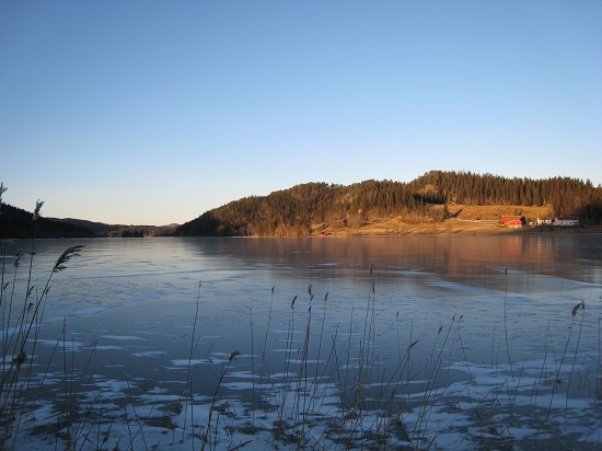 IMG_0164 - Kopia.JPG IMG_0164 - Kopia.JPG