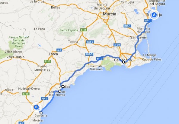 blåbär_41.jpg blåbär_41.jpg