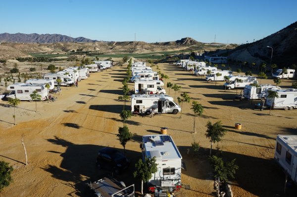 blåbär_39.jpg blåbär_39.jpg