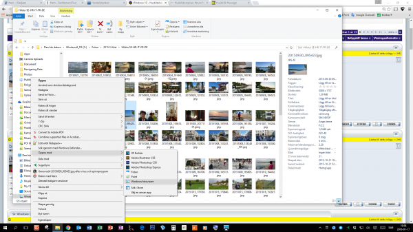 Skärmbild (4).png Skärmbild (4).png