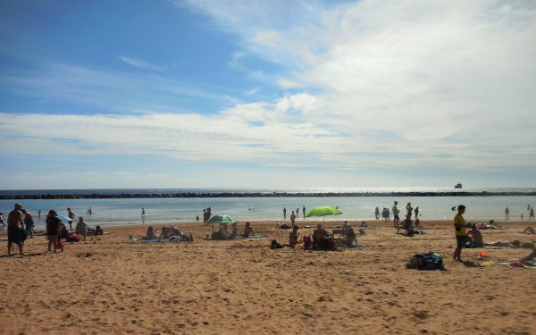 2016-01-17 14.57.54 (2).jpg 2016-01-17 14.57.54 (2).jpg